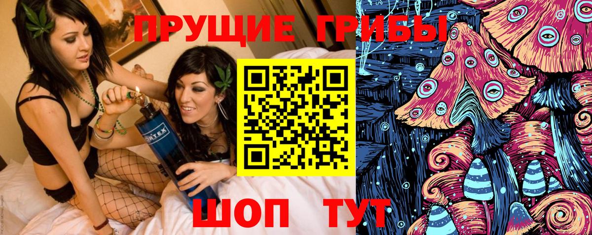 Псилоцибиновые грибы MAGIC MUSHROOMS Коряжма